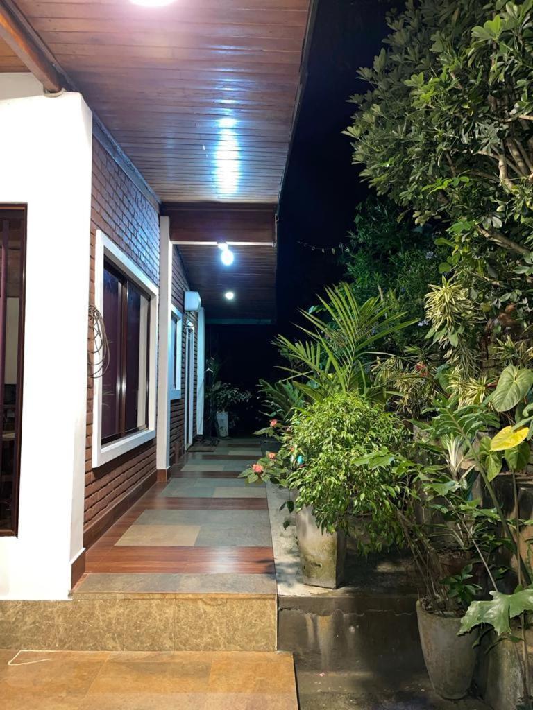 The Tenthola كاندي المظهر الخارجي الصورة
